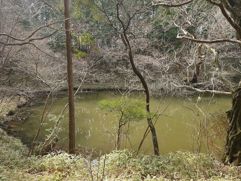 根池龍王大明神