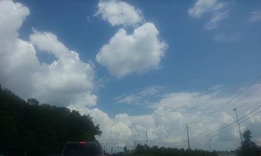 Book Store «Books-A-Million», reviews and photos, 1810 Cumming Hwy, Canton, GA 30114, USA