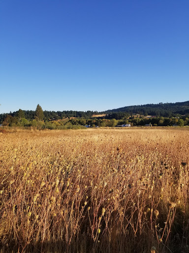 Wedding Venue «The Water Oasis», reviews and photos, 15055 NE Dopp Rd, Newberg, OR 97132, USA