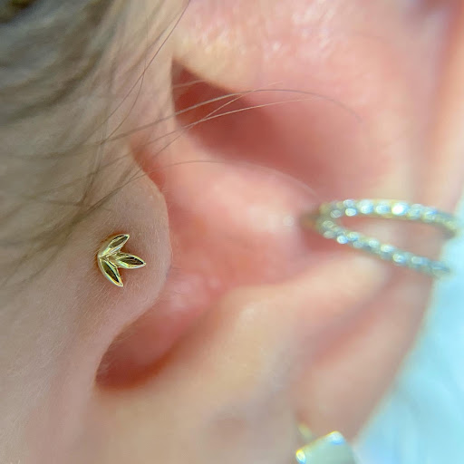 Explore stardust tattoo ideas, creative tattoo ideas in Worcester, available at Elegance Piercing & Tattoo Inc.