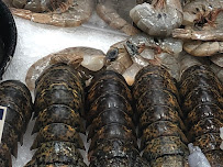 VA Glass Doors and Window Repair - Photo 4 - Car repair in Bailey's Crossroads, VA, Arlington