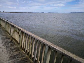 Estuary Boardwalk