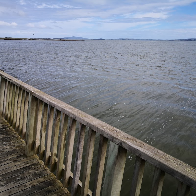 Estuary Boardwalk Invercargill TheBestPlaces.co.nz
