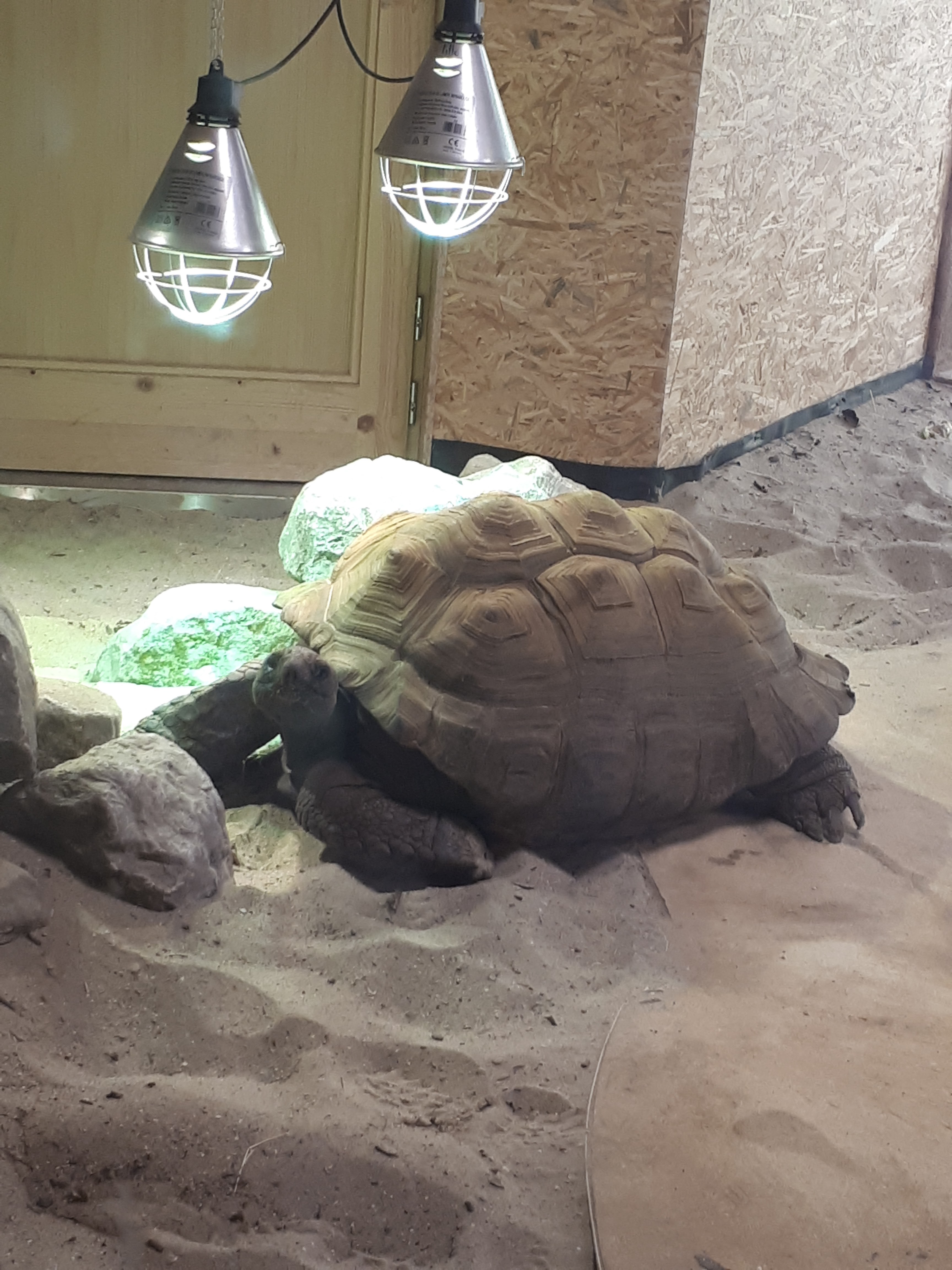 Photo n° 4 de l'avis de Morgane.r fait le 07/05/2018 à 21:00