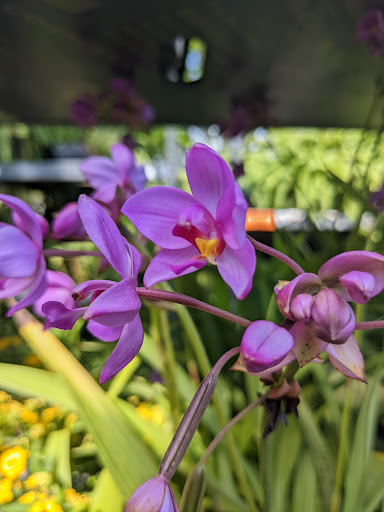 Home Improvement Store «The Home Depot», reviews and photos, 1750 Jonesboro Rd, McDonough, GA 30253, USA