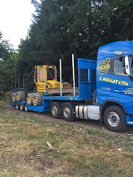 Photo n°3 de Scierie Meillat à Saint-Junien ()