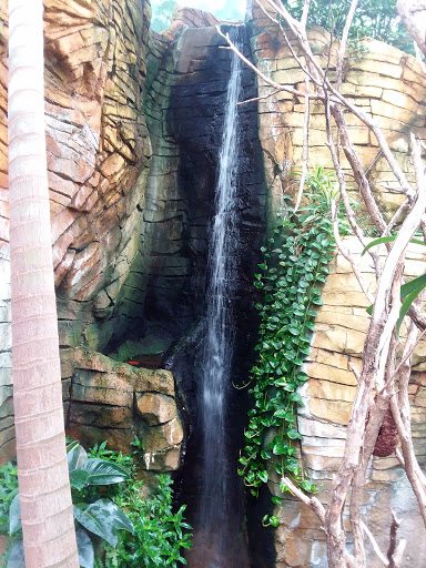 Zoo «Henry Vilas Zoo», reviews and photos, 702 S Randall Ave, Madison, WI 53715, USA