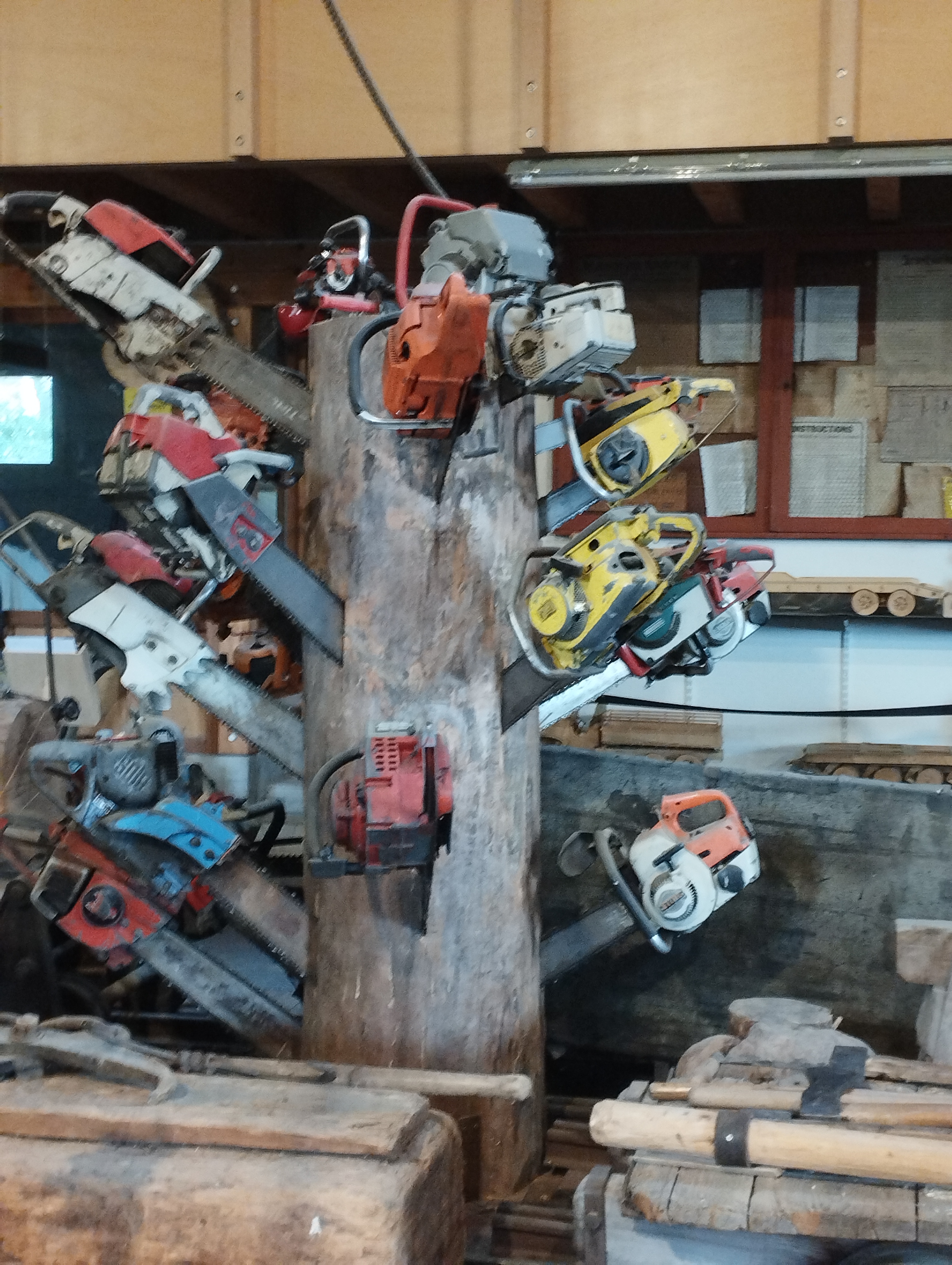 Photo n° 12 de l'avis de Angélique.e fait le 15/08/2023 à 11:02