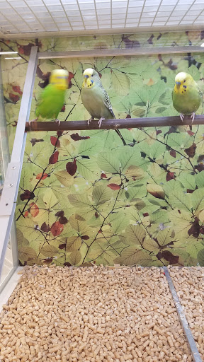 Pet Supply Store «PetSmart», reviews and photos, 13000 Aurora Ave N, Seattle, WA 98133, USA