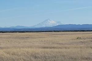 Lower Klamath National Wildlife Refuge image