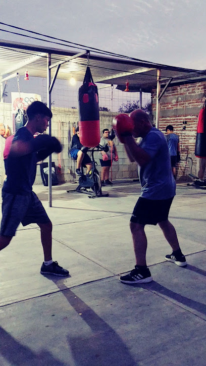 Fili,s Boxing Gym - Calle Mariano Abasolo 600, Pueblo Viejo, 85845 Navojoa, Son., Mexico