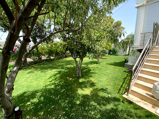 Bodrum Türkbükü Kamping