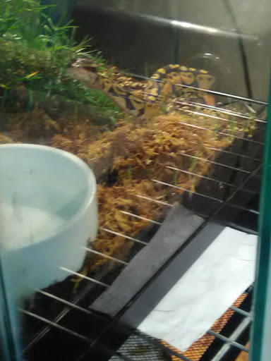 Pet Supply Store «Premier Pet Supply», reviews and photos, 63 W Auburn Rd, Rochester Hills, MI 48307, USA