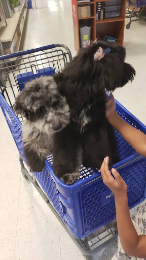PetSmart image