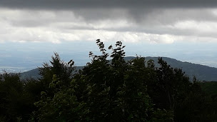 Photo n°15 de La Vue des Alpes à Willer-sur-Thur ()