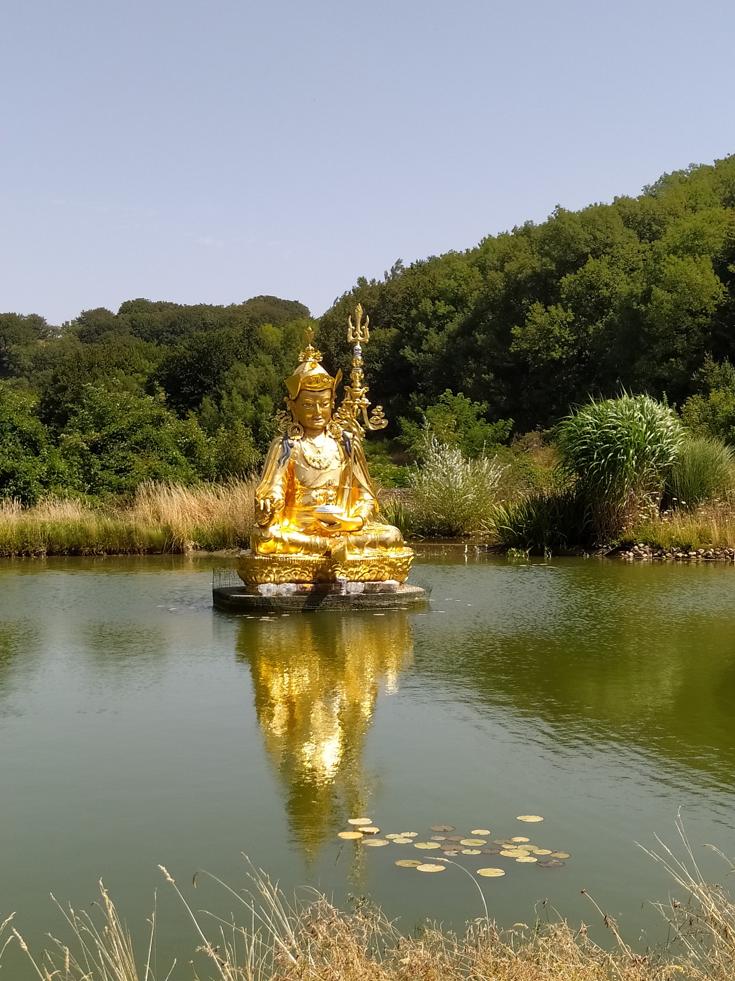 Photo n° 1 de l'avis de Steph.u fait le 14/08/2020 à 08:02