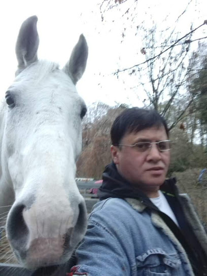 Riding Academy Munich e.V.