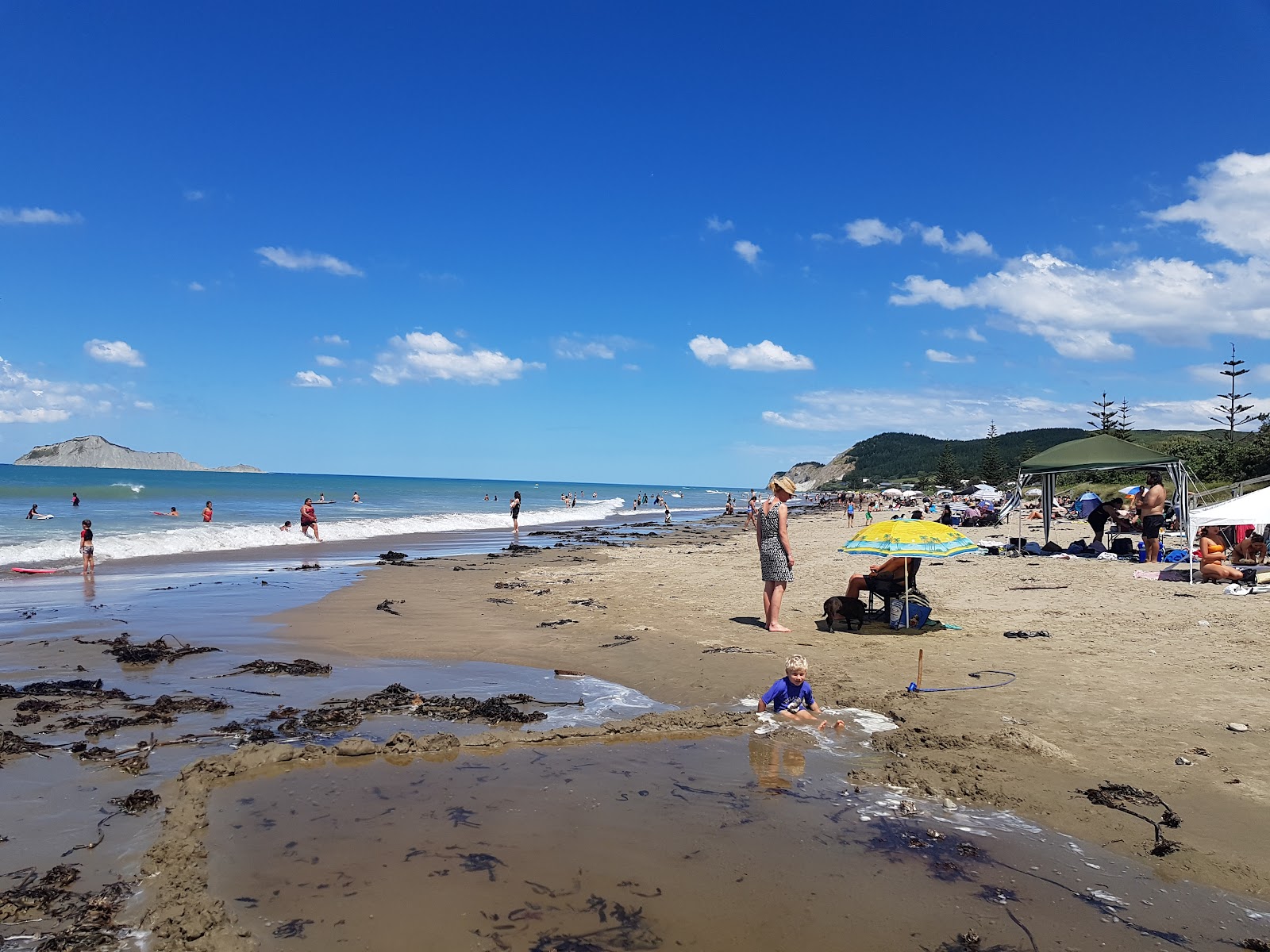 Fotografie cu Waimarama Beach cu drept și lung