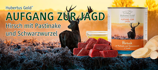 Hundefutter für Jagdhunde - Sandra Mattern unter Birstein, 