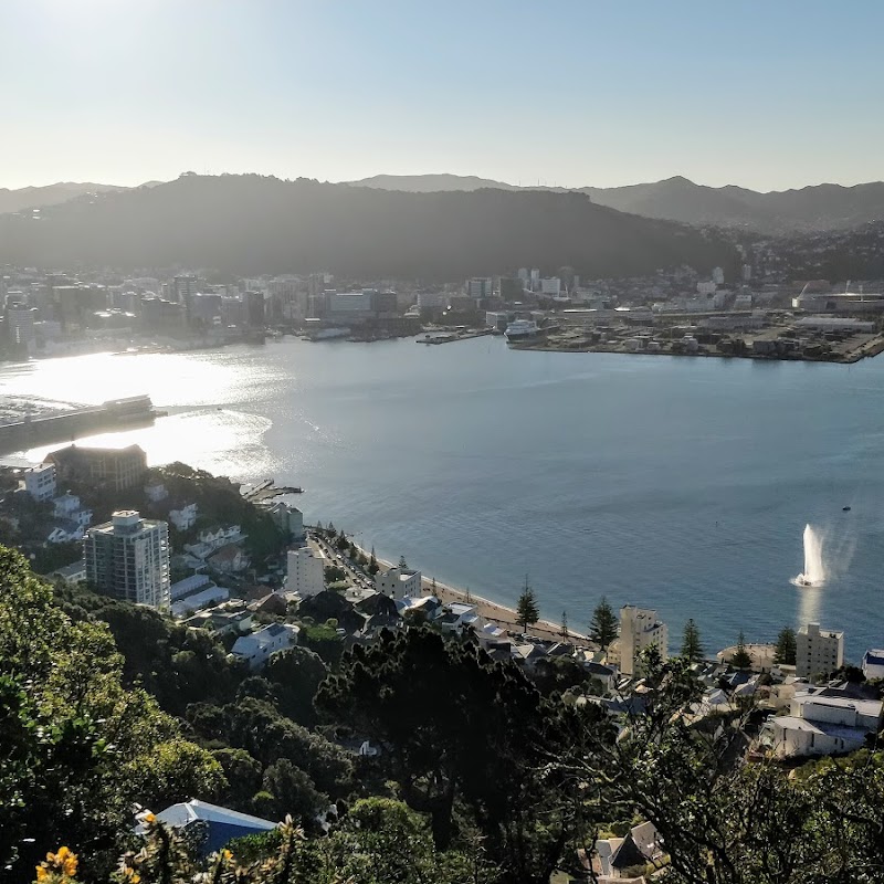 Wellington Ultimate View Point