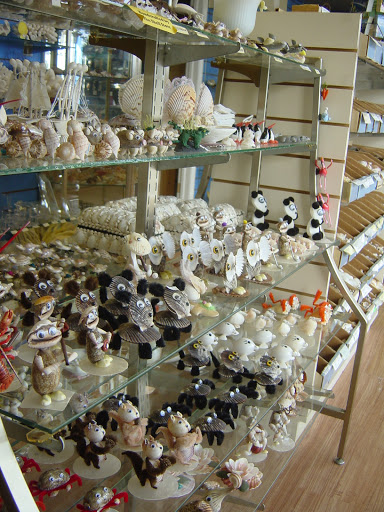 Gift Shop «The Shell Store», reviews and photos, 8211 Ulmerton Rd, Largo, FL 33771, USA