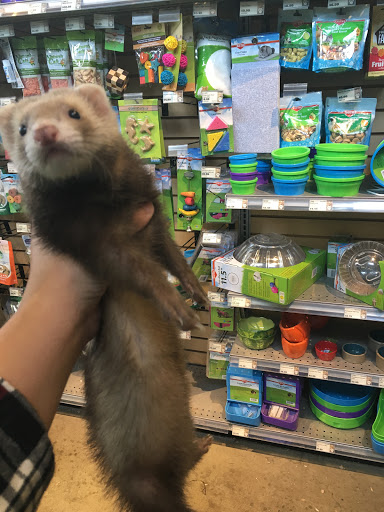 Pet Store «Critter Cabana - Wilsonville», reviews and photos, 8406 SW Main St #200, Wilsonville, OR 97070, USA