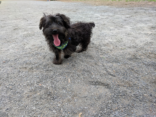 Park «Eugene Simpson Stadium Park», reviews and photos, 426 E Monroe Ave, Alexandria, VA 22301, USA