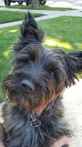 Pet Supply Store «K9 Kibble LLC», reviews and photos, 5535 6th Ave, Kenosha, WI 53140, USA