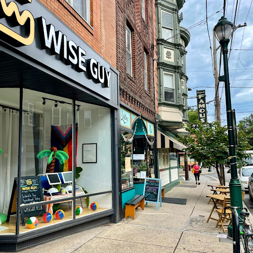 Wise Guy Computer Repair, 525 S 4th S, Philadelphia, PA 19147, USA, 