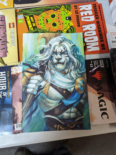 Comic Book Store «Brave New Worlds», reviews and photos, 433 W Moreland Rd, Willow Grove, PA 19090, USA