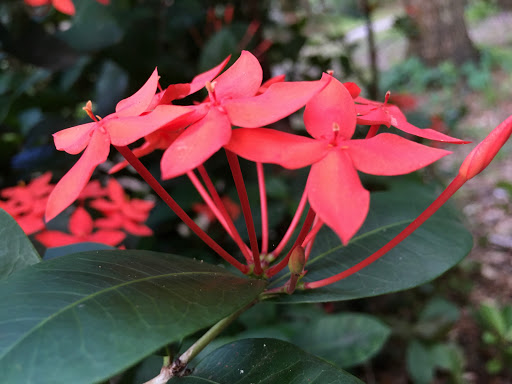 Park «North Water Tower Park», reviews and photos, 4700 Rilma Ave, Sarasota, FL 34234, USA