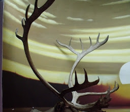 Museo de Caza Albarran photo