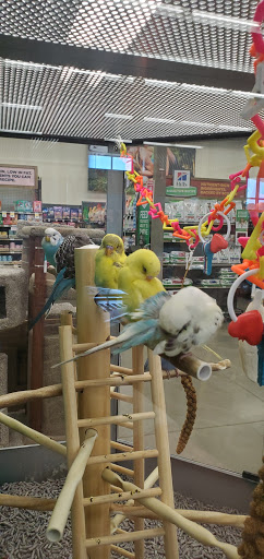 Pet Supply Store «Petco Animal Supplies», reviews and photos, 6720 Fox Centre Pkwy, Gloucester Courthouse, VA 23061, USA
