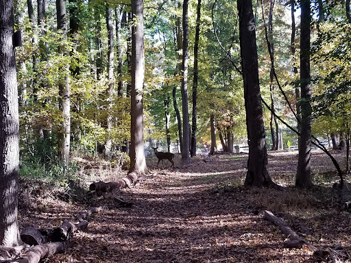 Park «Edison State Park», reviews and photos, 37 Christie St, Edison, NJ 08820, USA