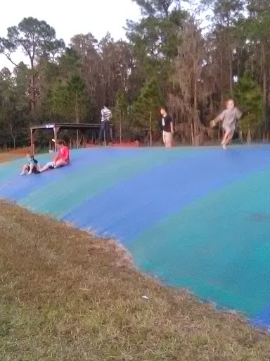 Ranch «Smith Family Ranch, LLC», reviews and photos, 13444 Moore Road, Lakeland, FL 33809, USA
