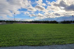 Graves-Oakley Memorial Park image