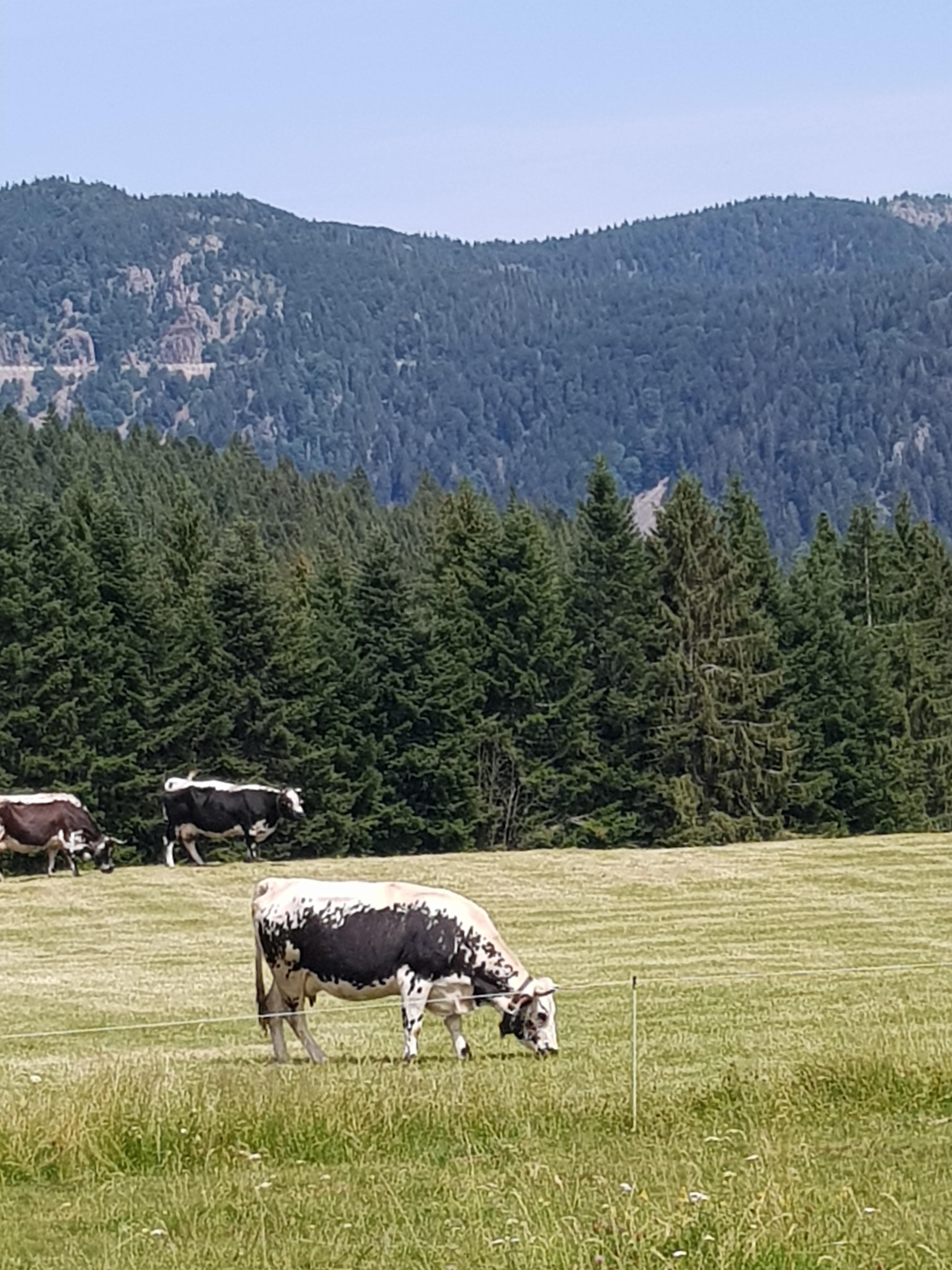 Photo n° 3 de l'avis de Sophie.a fait le 11/07/2019 à 11:02