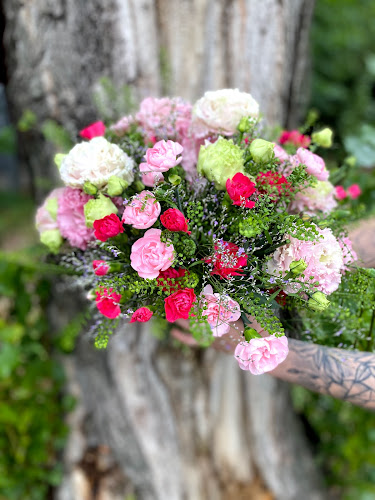 Comentarii opinii despre Różany Zakątek