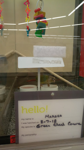 Pet Supply Store «Petco Animal Supplies», reviews and photos, 125 Lincoln Hwy, Exton, PA 19341, USA