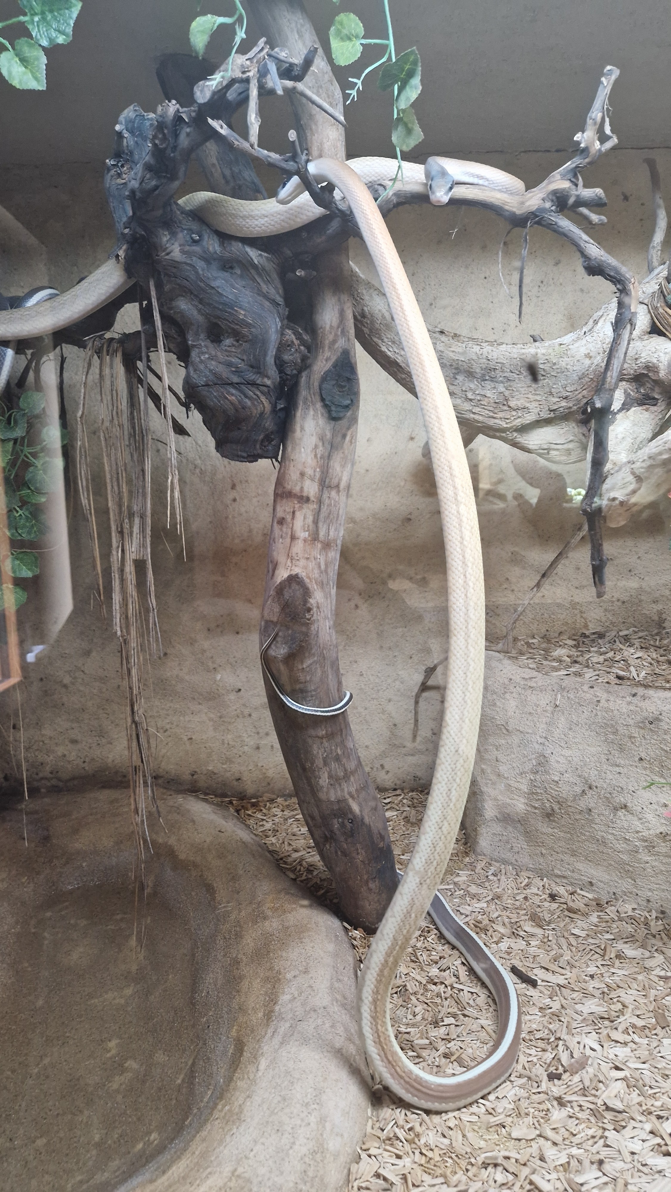 Photo n° 4 de l'avis de Dominique.r fait le 23/05/2023 à 15:21