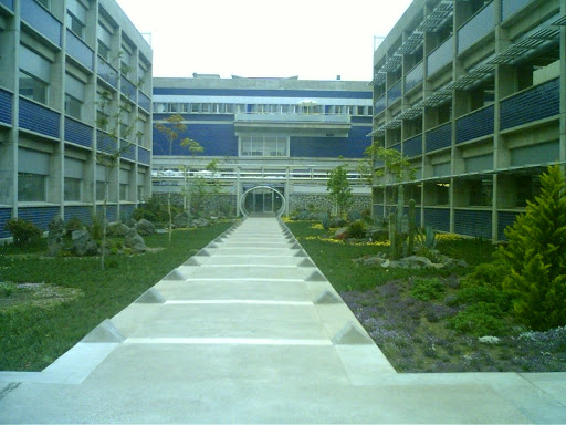 Instituto de Investigaciones Biomédicas