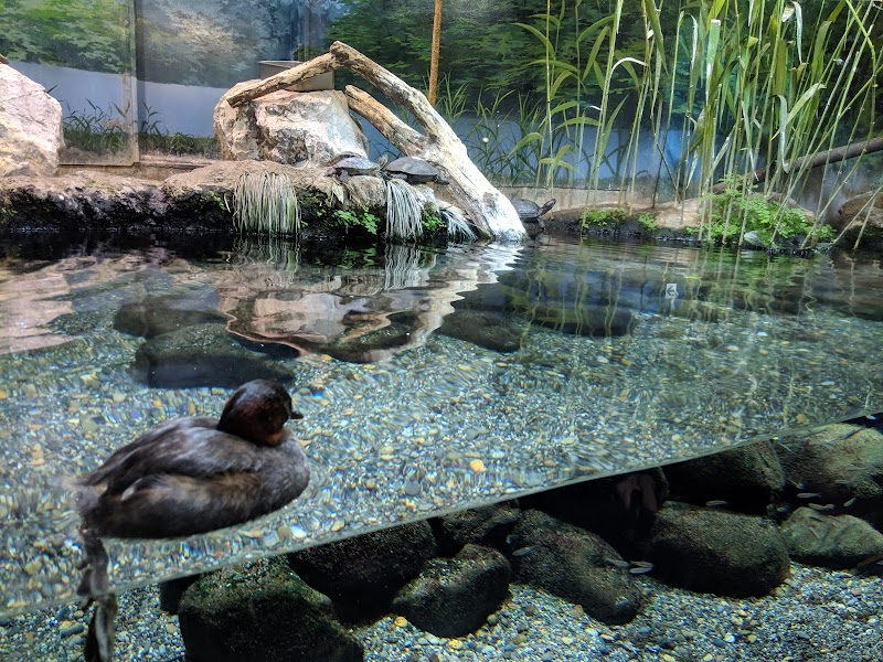 井の頭自然文化園 水生物園