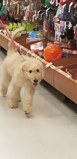 Pet Supply Store «PetSmart», reviews and photos, 7765 Airport Blvd #901, Mobile, AL 36608, USA