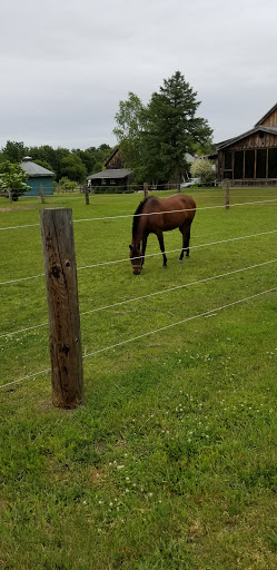 Farm «Four Town Farm», reviews and photos, 90 George St, Seekonk, MA 02771, USA