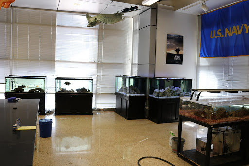 Tropical Fish Store «LE Corals Saltwater Aquarium Showroom», reviews and photos, 3414 S 48th St #2, Phoenix, AZ 85040, USA