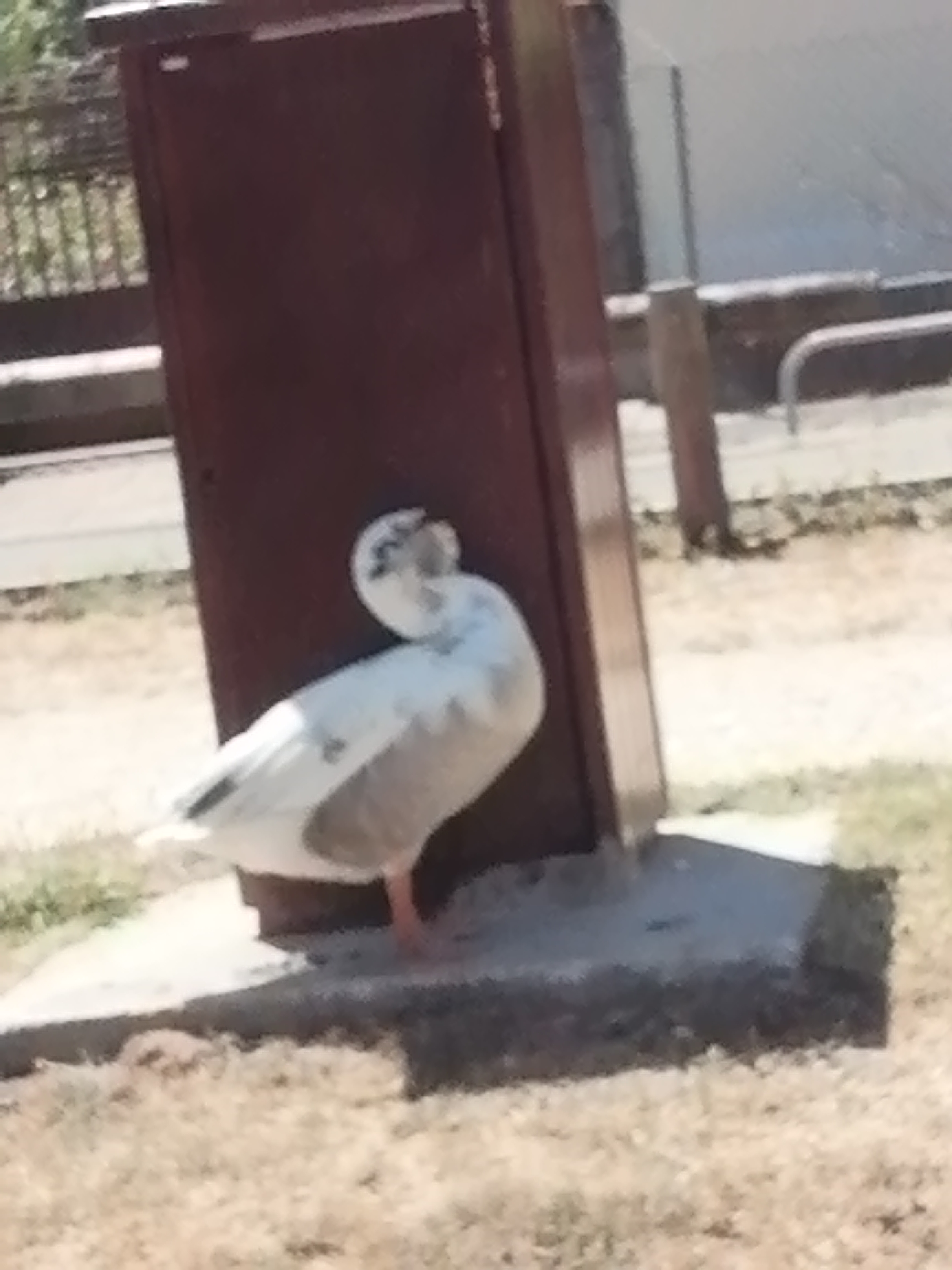 Photo n° 6 de l'avis de Djess. fait le 26/04/2019 à 17:08