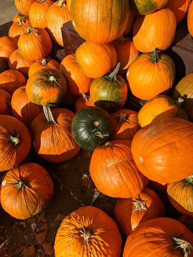 Grocery Store «Safeway», reviews and photos, 2466 Chapel Lake Dr, Gambrills, MD 21054, USA