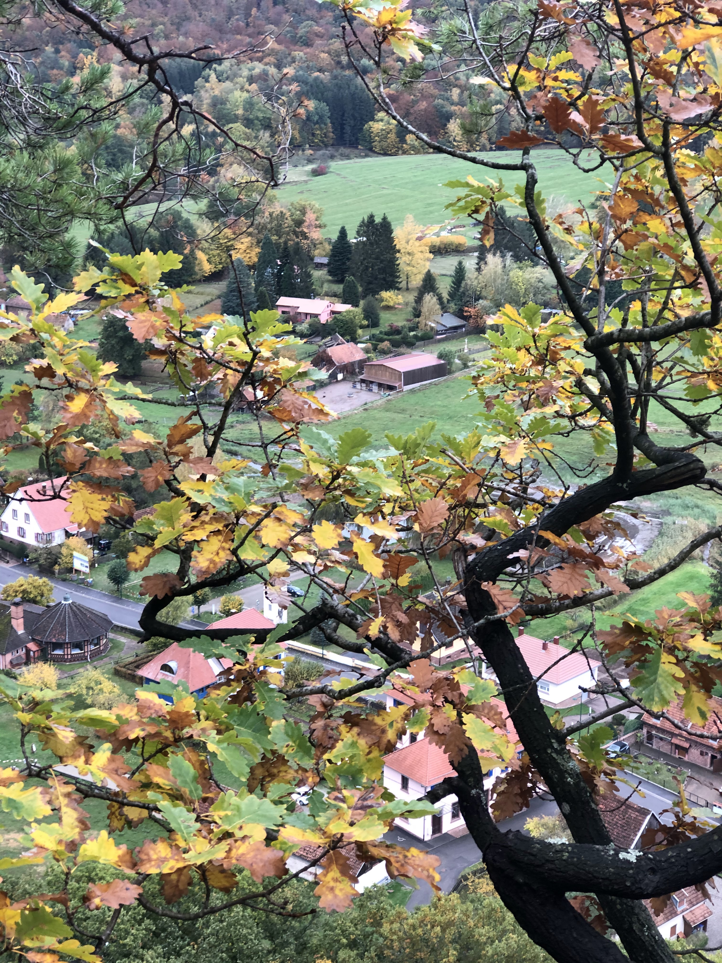 Photo n° 3 de l'avis de Aurélie. fait le 28/10/2020 à 12:07