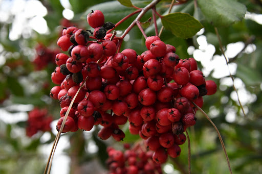 Park «Crown Valley Park / Laguna Niguel Parks & Recreation», reviews and photos, 29751 Crown Valley Pkwy, Laguna Niguel, CA 92677, USA