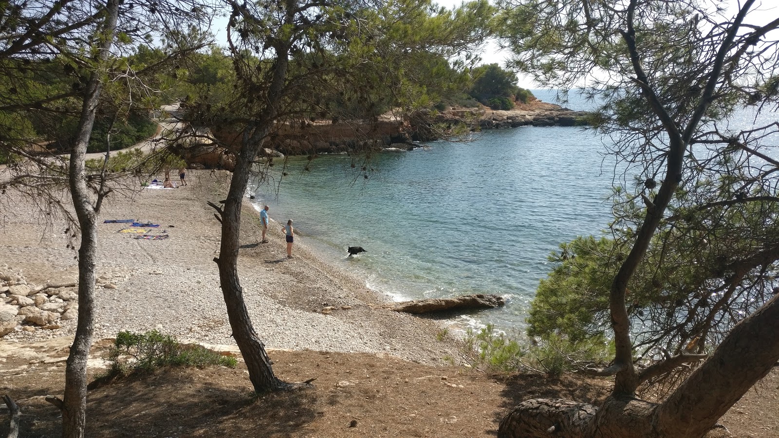 Photo de Platja Port Olivet situé dans une zone naturelle
